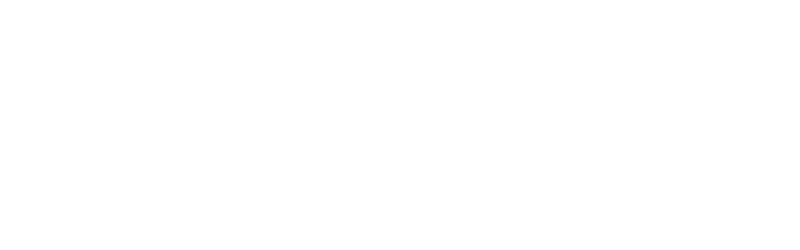 LOGO-VPM